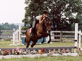 Penny Jumping