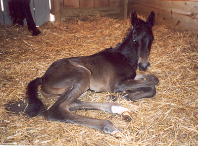 Zion just born